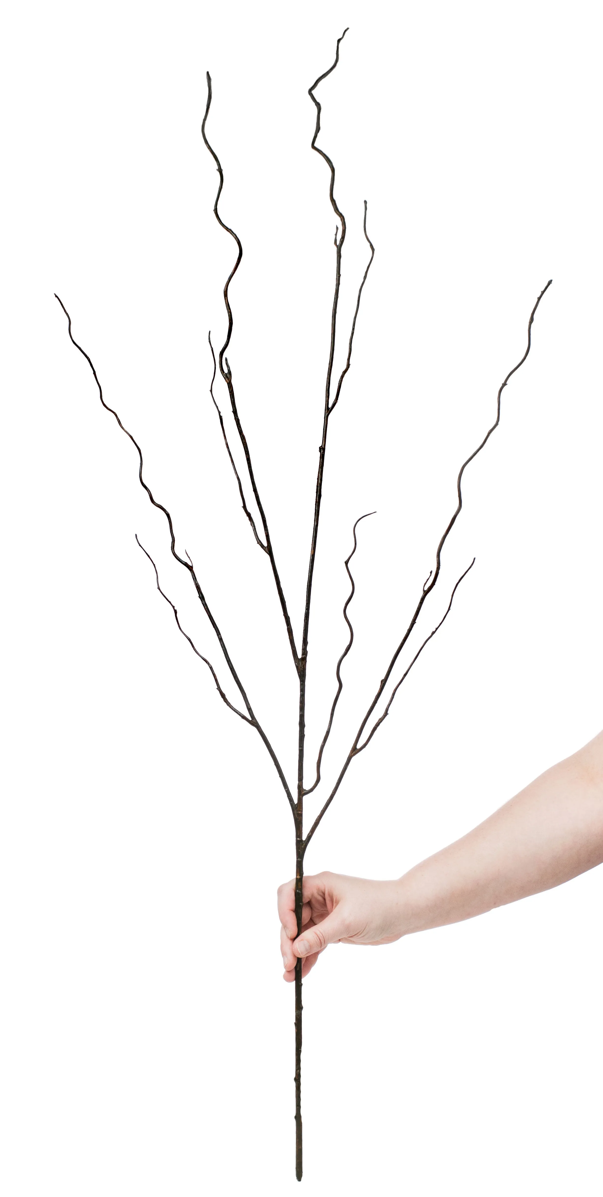 45" Brown Twig Curly Branch