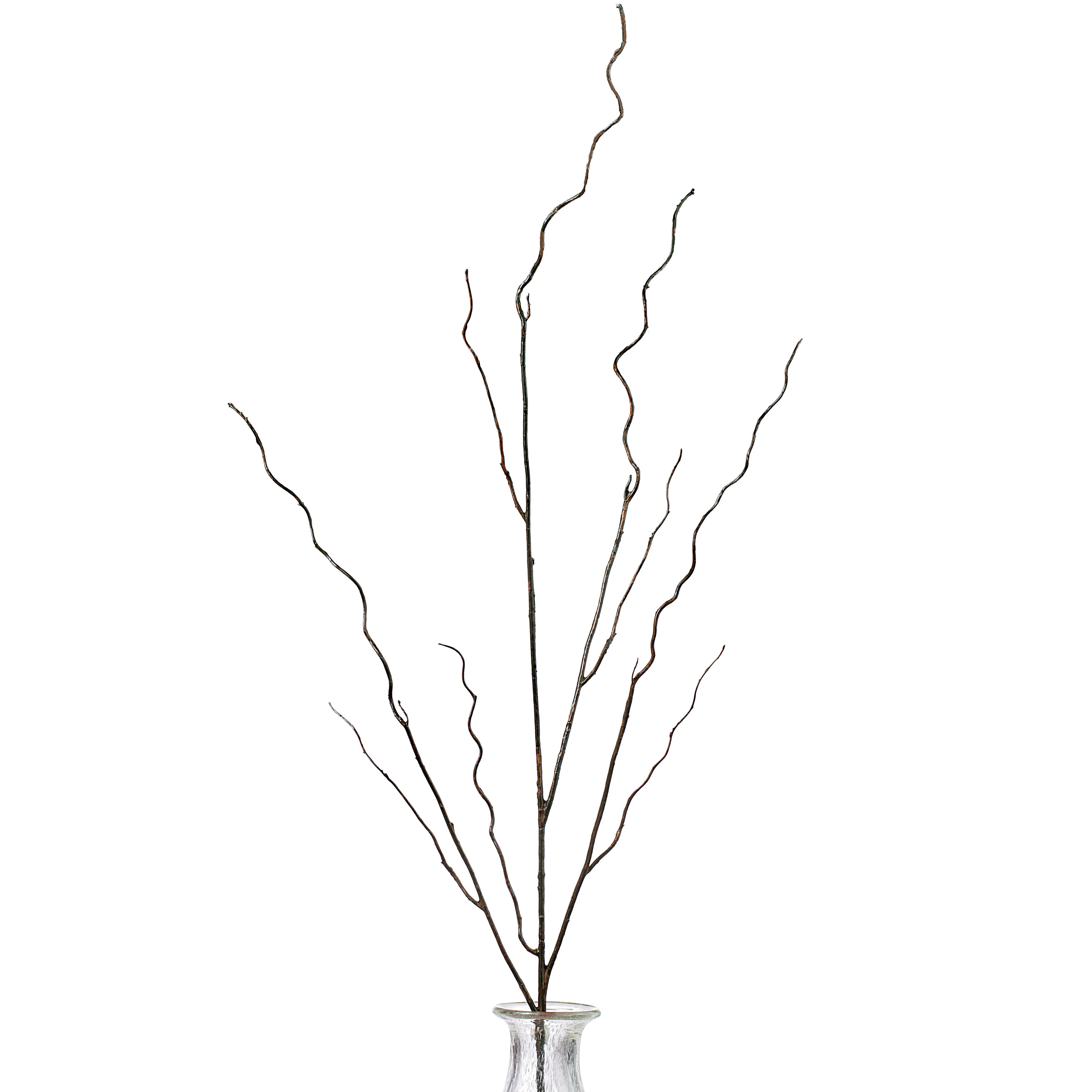 45" Brown Twig Curly Branch