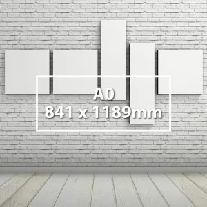 Canvas print A0 (841 x 1,189mm)