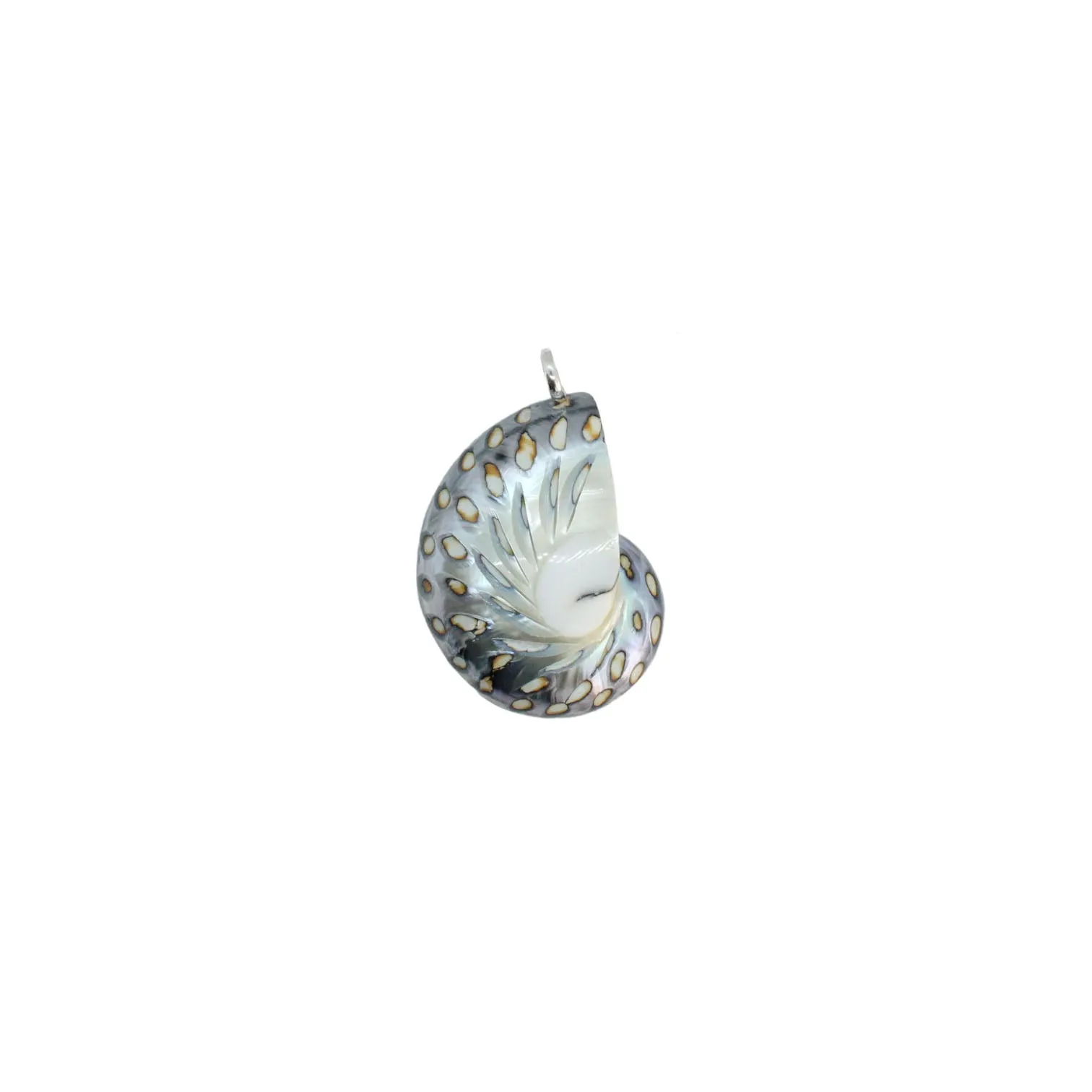 Nautilus Necklace - Limited ED (3 Styles)