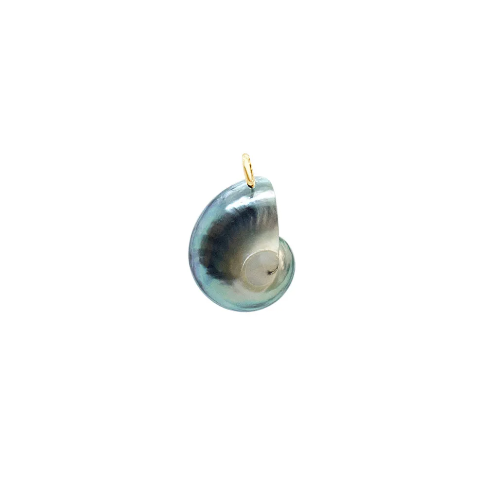 Nautilus Necklace - Limited ED (3 Styles)