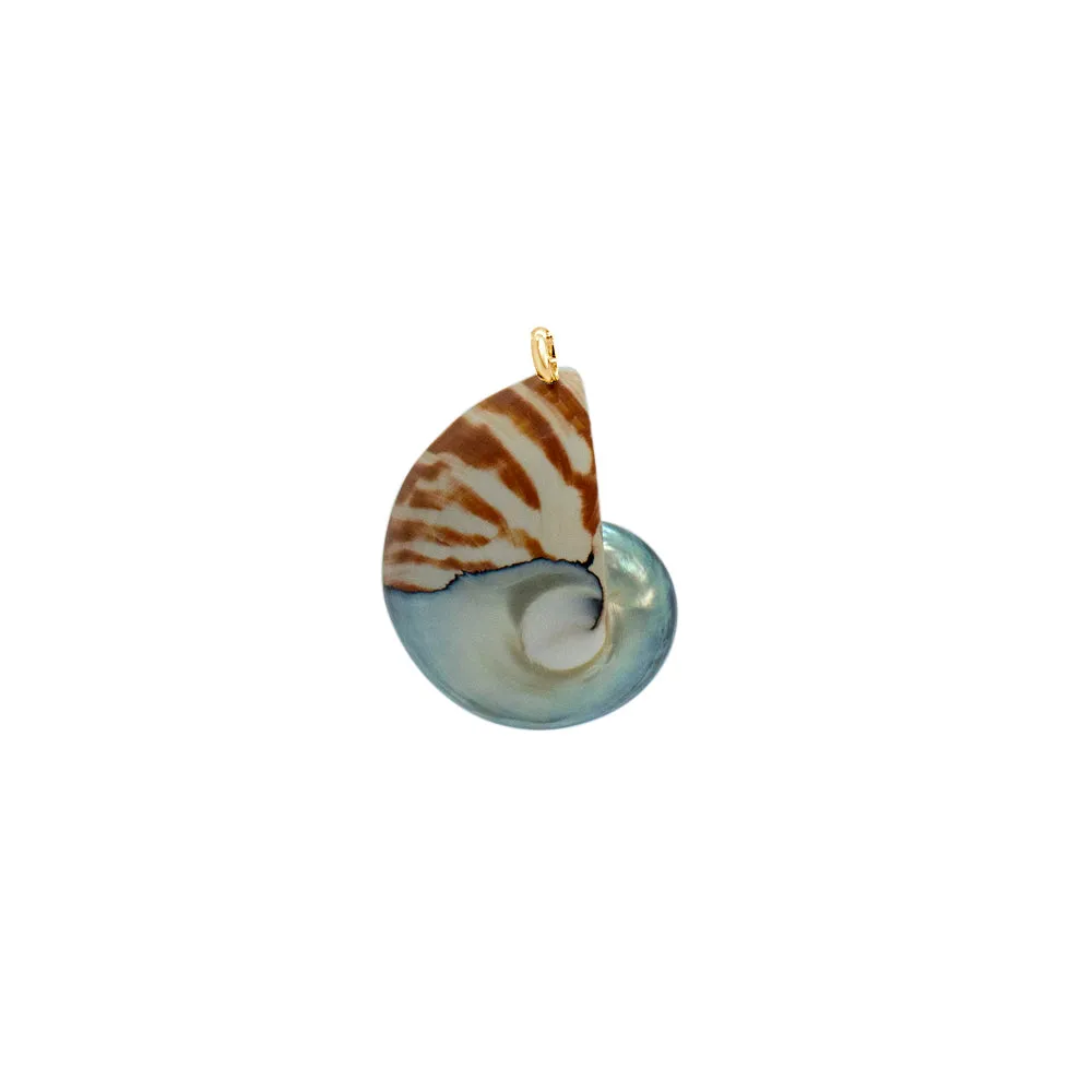 Nautilus Necklace - Limited ED (3 Styles)